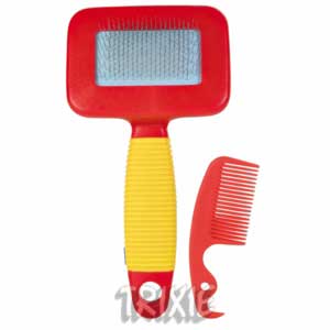 Anjas Zwergkaninchenzucht Brüggen