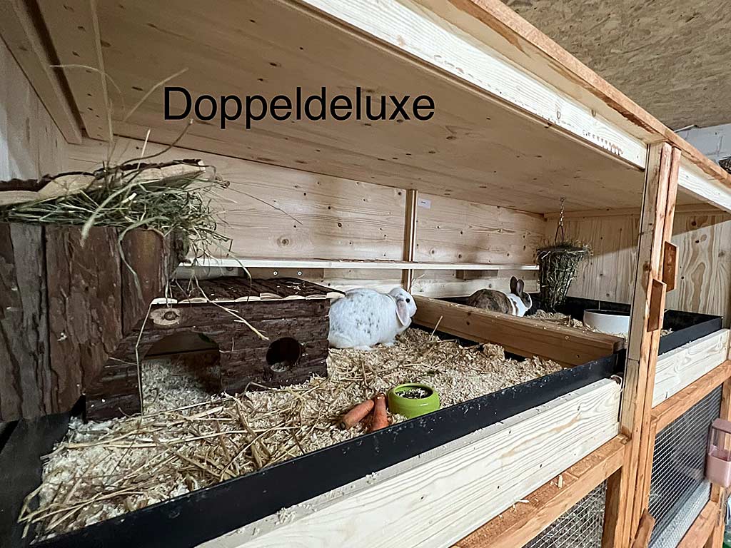 Anjas Zwergkaninchen