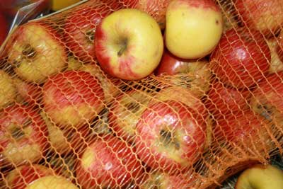 Anjas Zwergkaninchenzucht Brüggen