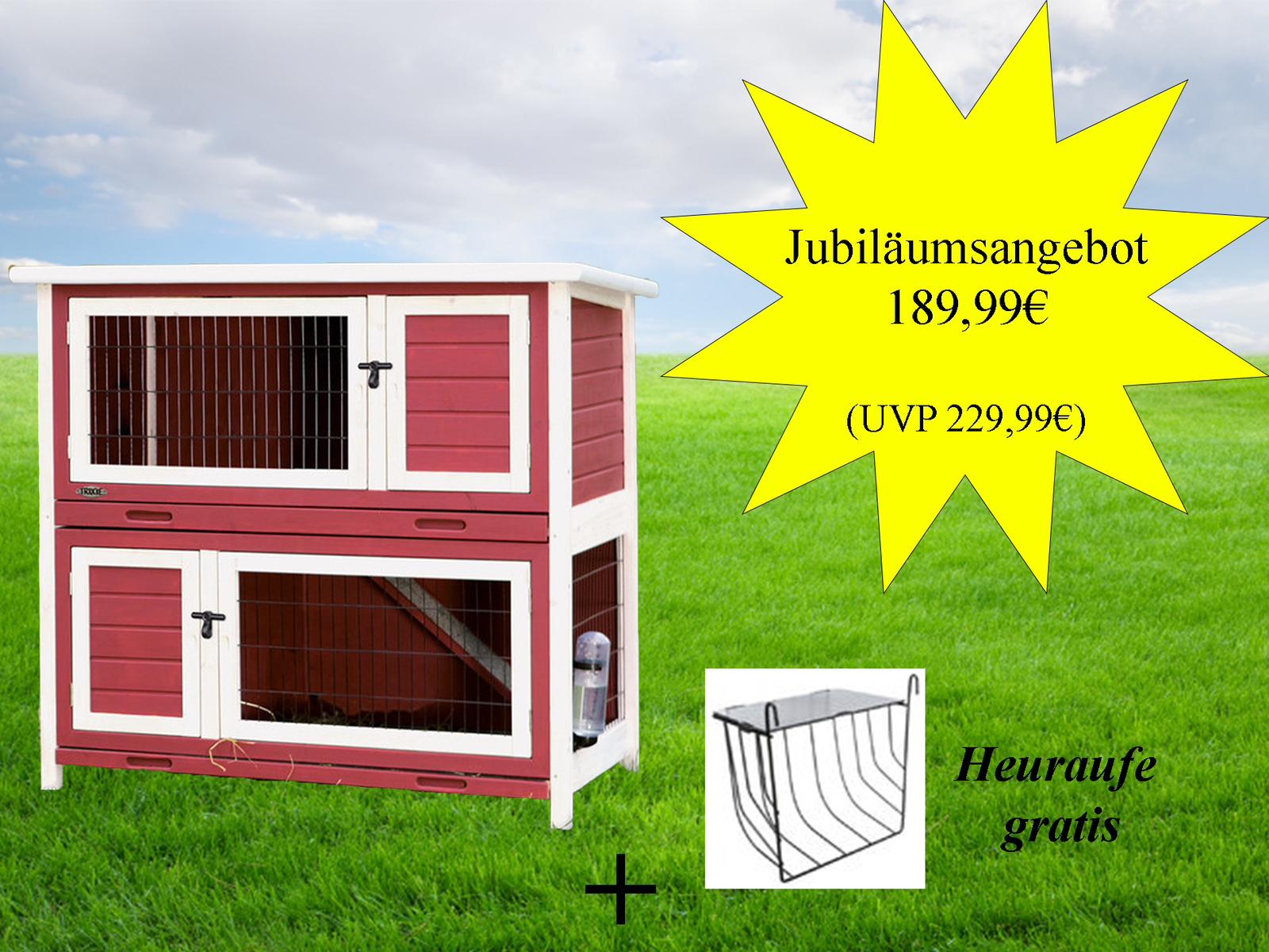 TOPSELLER AUSVERKAUF Anjas Zwergkaninchenzucht Brüggen