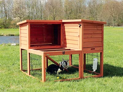 Anjas Zwergkaninchenzucht Brüggen