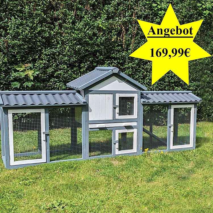 Anjas Zwergkaninchen