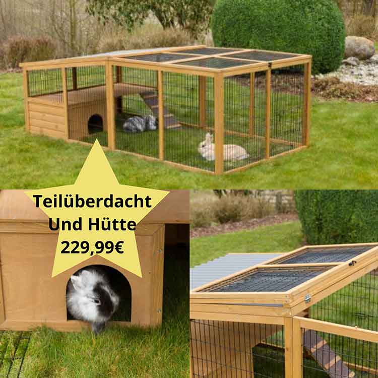 Anjas Zwergkaninchen