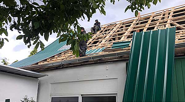 Anjas Zwergkaninchen