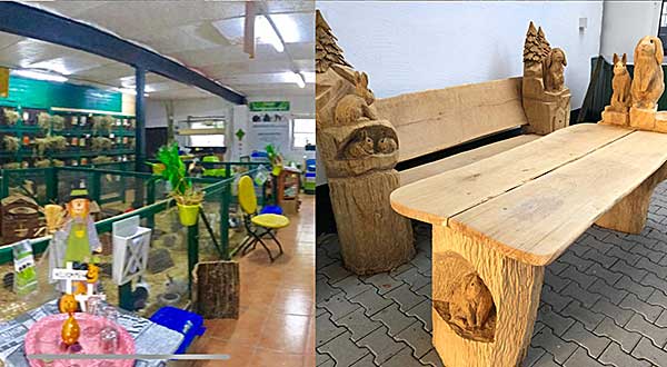 Anjas Zwergkaninchen